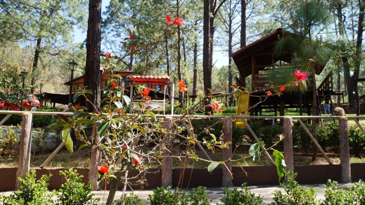 Hotel Rincon Del Bosque Mazamitla Zewnętrze zdjęcie